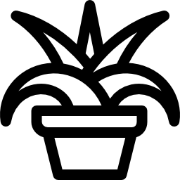 Хлорофитум иконка