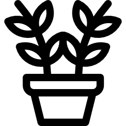 zamioculcas icono