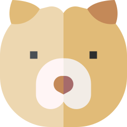 chow-chow icon