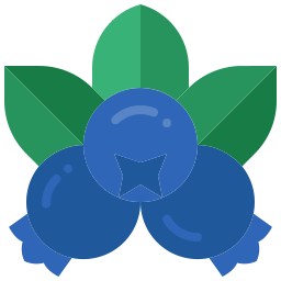 Blueberry icon