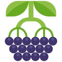 Berries icon