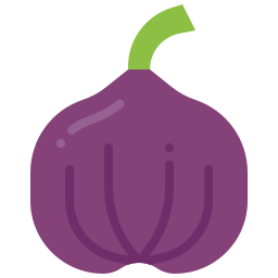 Fig icon