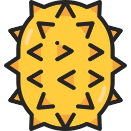 kiwano icon