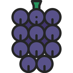 Berry icon