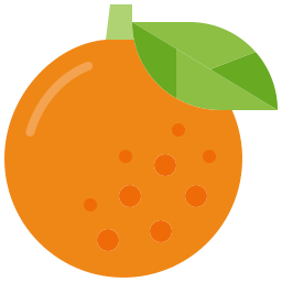 오렌지 icon