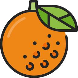 arancia icona