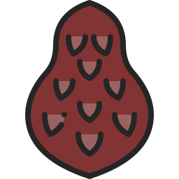 Salak icon