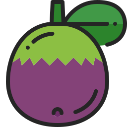 Star apple icon