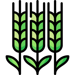 Barley icon