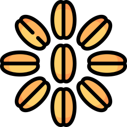 Пшеничное зерно иконка