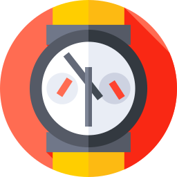 Wristwatch icon