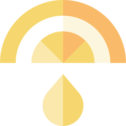 Citric icon