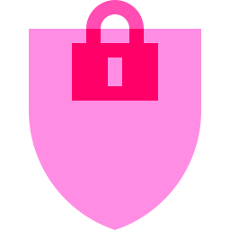 Privacy icon