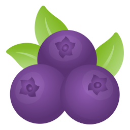 Blueberries icon