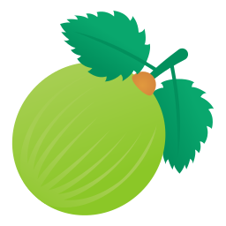 Gooseberry icon