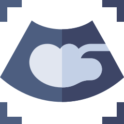 Ultrasound icon