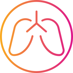 Lungs icon