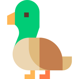 canard Icône