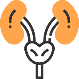 Kidneys icon