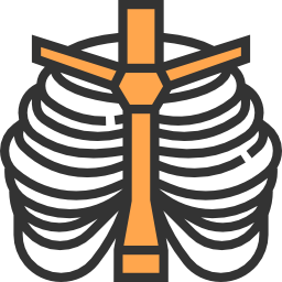 thorax icon