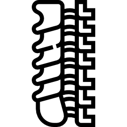 columna espinal icono