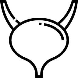 방광 icon