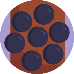 Jabuticaba icon