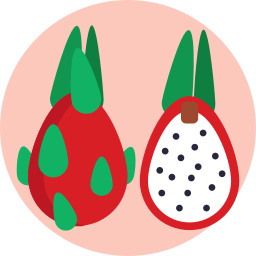 Dragon fruit icon