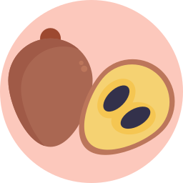 sapodilla Ícone