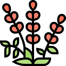lavendel icon