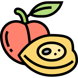 Apricot icon