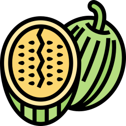 wassermelone icon