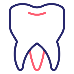 大臼歯 icon
