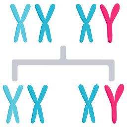 Chromosomes icon