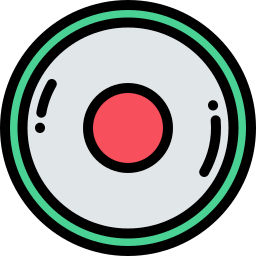 Record button icon