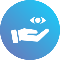 vision icon