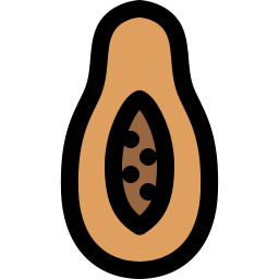 パパイヤ icon