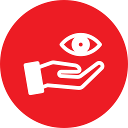 Vision ikon