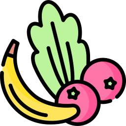 Healthy food icon