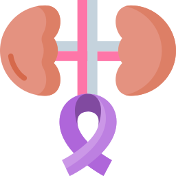 Kidney cancer icon