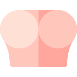 Ass icon