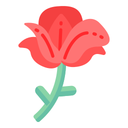 czerwona róża ikona