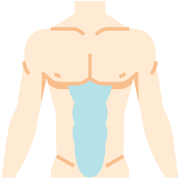 Abdominal icon