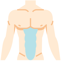 abdominal Ícone