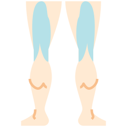 Leg icon