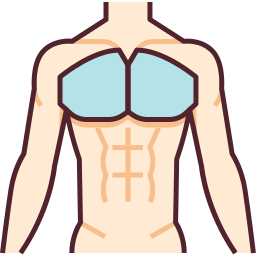 brustmuskeln icon