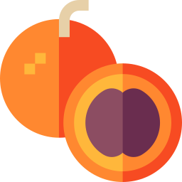 モンキーオレンジ icon