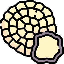 tartufo icona