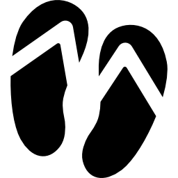 Pair of flip flops icon