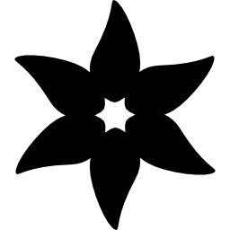 Flower with elongated petals icon